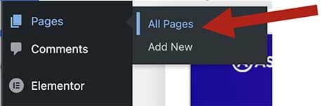 Screenshot of the WordPress left-hand menu with a red arrow pointing to "All Pages" under the Pages option