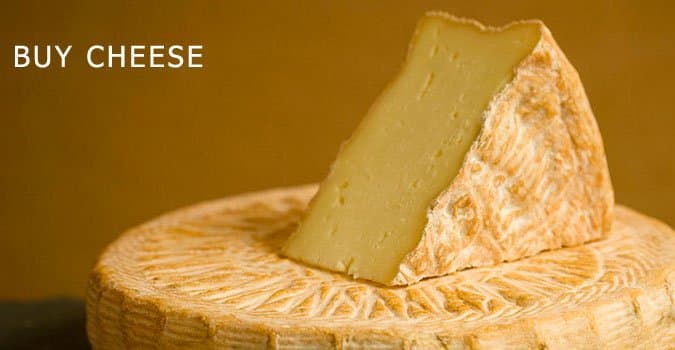Wedge of pale cheese on a cheese wheel with the text "BUY CHEESE", the reminder Bob's phone sends in the store